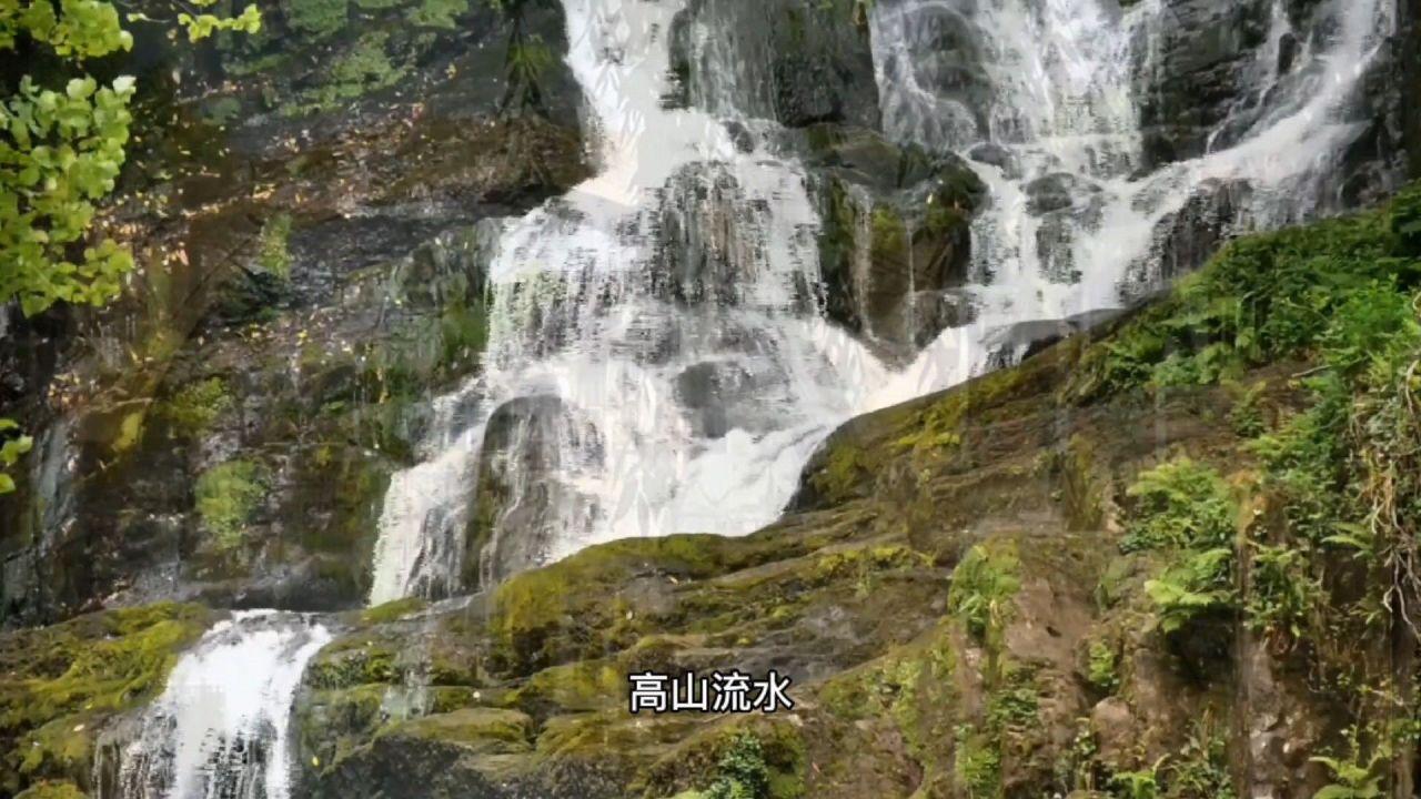 救援猫头鹰扮演者
